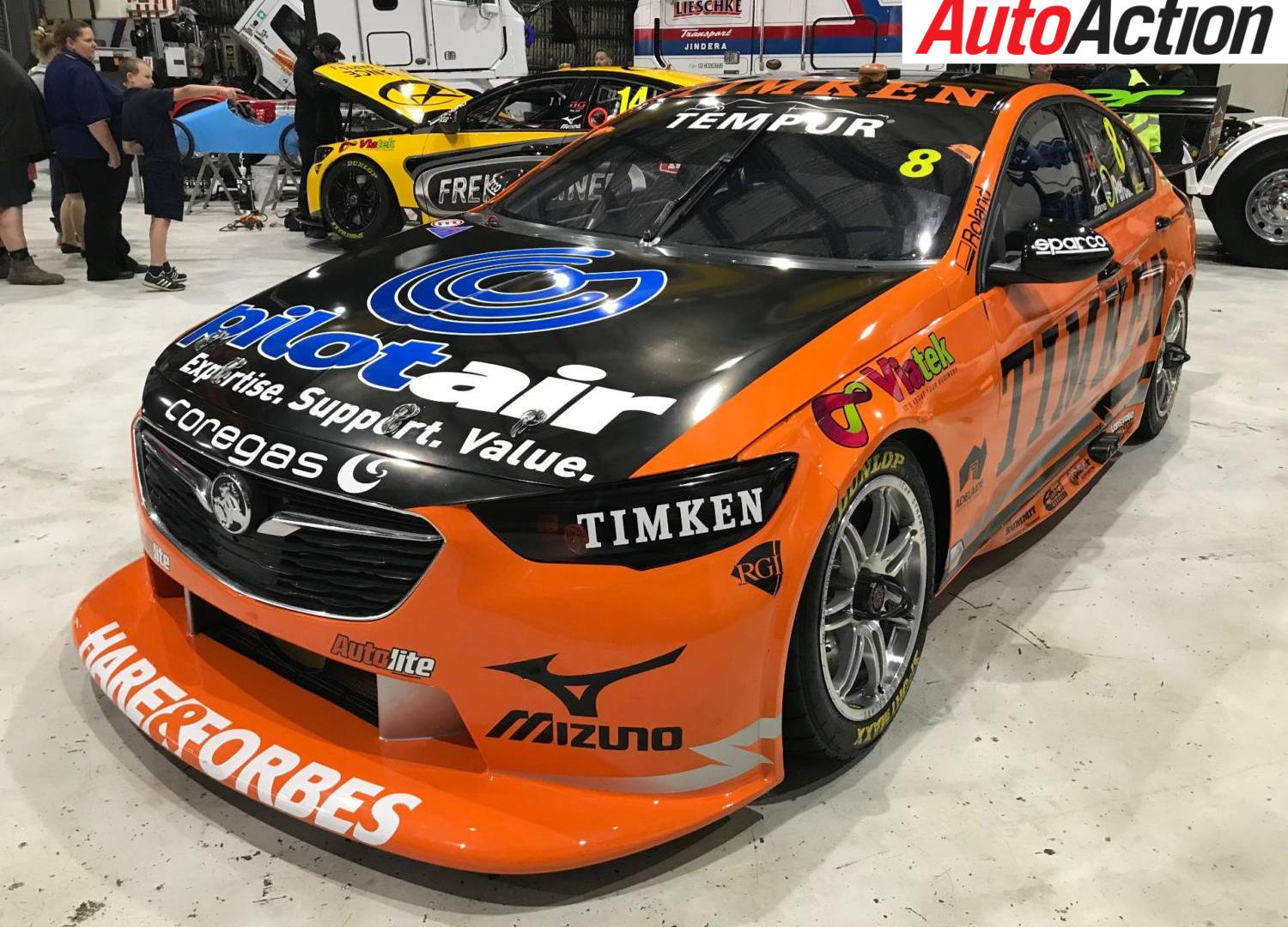 Timken colours return for Nick Percat at Winton - Photo: Supplied