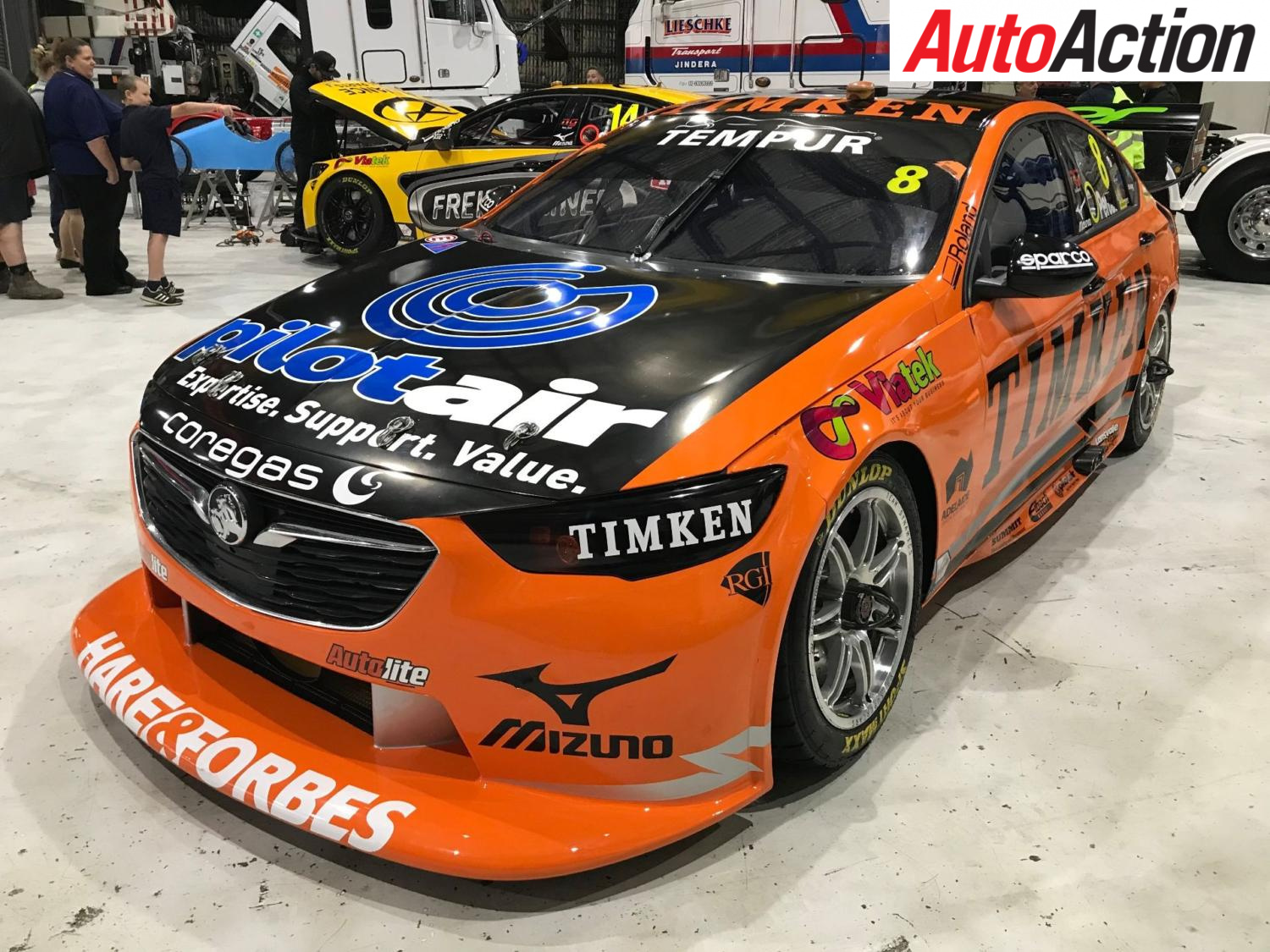 Timken Racing NICK PERCAT TO RUN TIMKEN COLOURS AT WINTON - Auto Action